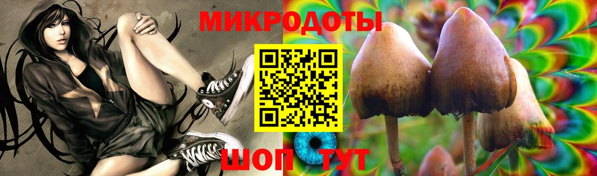 Псилоцибиновые грибы MAGIC MUSHROOMS Волгоград