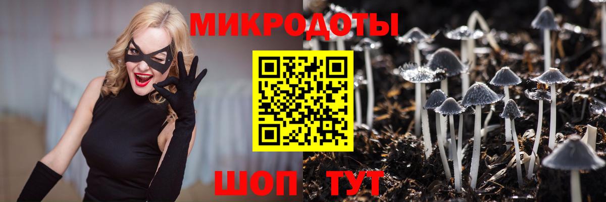 Псилоцибиновые грибы ЛСД  Псилоцибиновые грибы прущие грибы  Вход с VPN  Волгоград 
